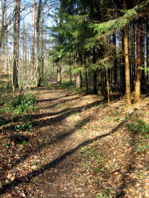 Der ?West?-Singletrail�