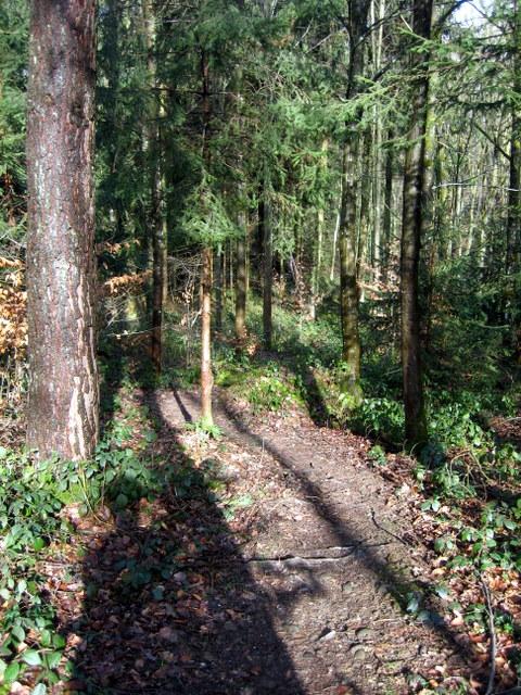 hier ist wirklich ein Weg....�