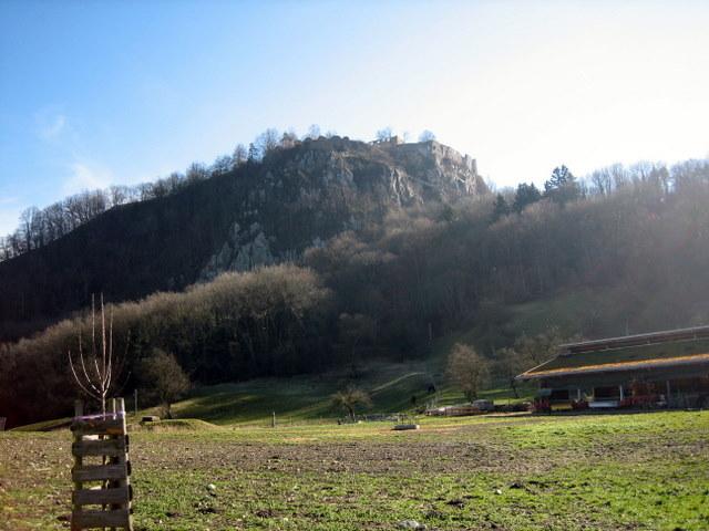 Blick zurck auf die Ruine Hohentwiel�