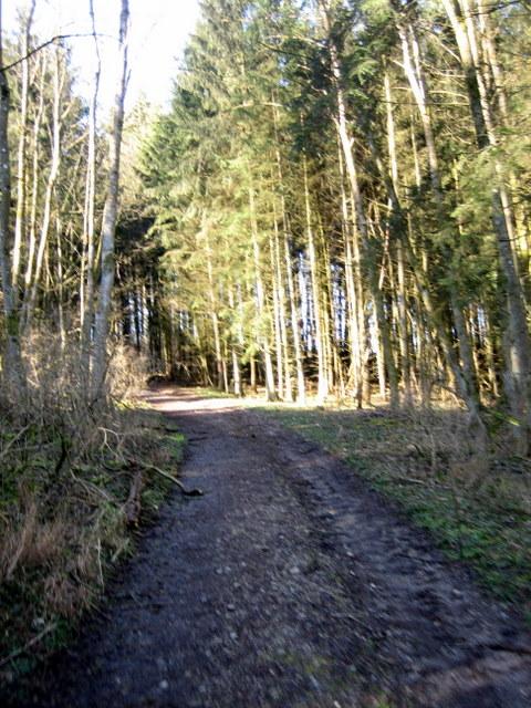 ... und gleich wieder hoch zum Hohenkr�hen 