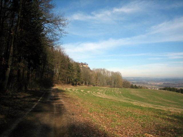 Die meiste Zeit waren es heute Waldwege wie hier auf dem Bild�