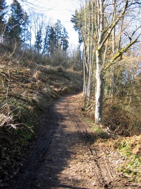 Hier wird's wieder ein bischen steiler�