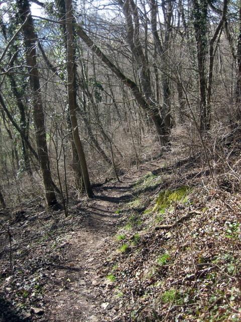 Kurze ?Downhill?-Passage. War wohl nur fr Wanderer gedacht, macht aber trotzdem Spa�