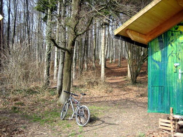 Dort oben geht der Wanderweg weiter auf den Gehrenberg�