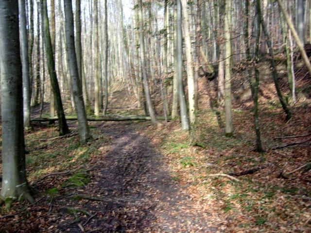 Viel Matsch und Hindernisse�