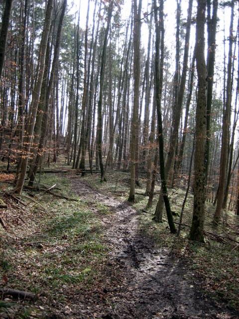 Noch mehr Matsch�