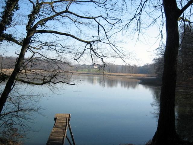Blick auf den Killenweiher 