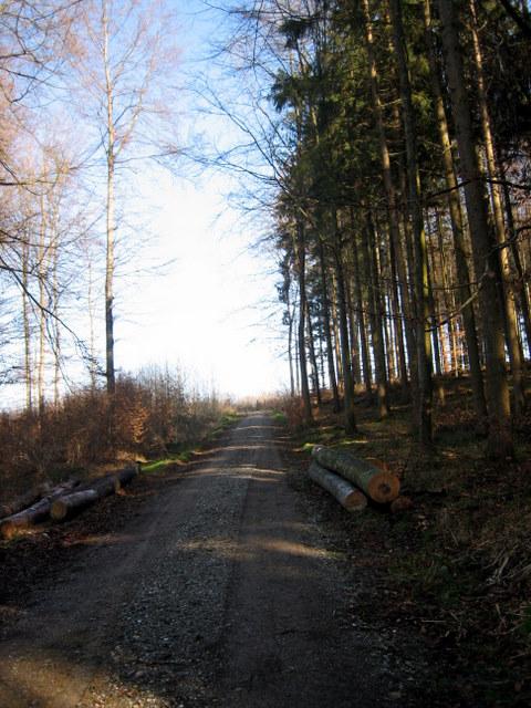 noch ein bischen steiler�