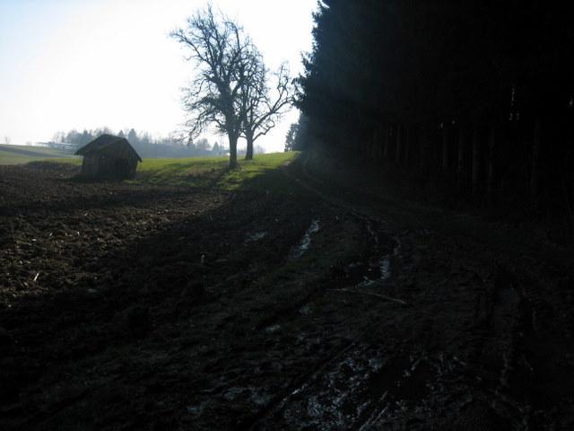 Teilweise wars noch feucht, aber das war heute die Ausnahme�