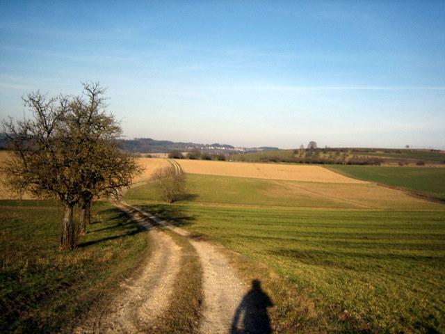 Auf dem Weg nach Bermatingen 