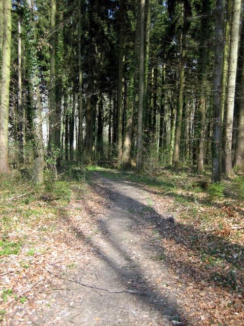 Kleiner Trail bei Altenbeuren�