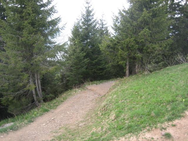 Start auf den Trail�