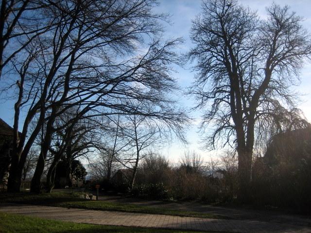 Auf dem Heiligenberg�