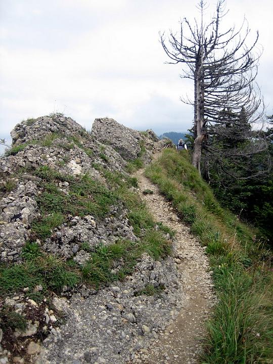 Auf gehts zum Klettersteig Richtung Falken�
