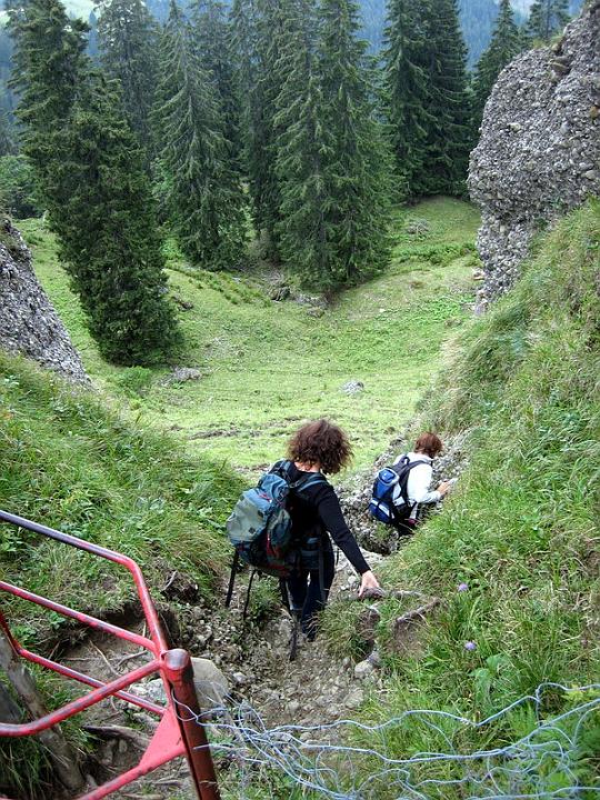 Steile Abkrzung zur Falkenhtte�