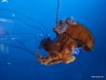 2013-09-27-12.46.21