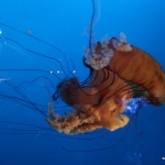 2013-09-27-12.46.21