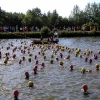 p1010014.jpg