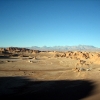IMG_4748.jpg