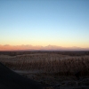 IMG_4769.jpg
