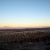 IMG_4770.jpg