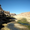 IMG_4818.jpg