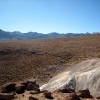 IMG_4832.jpg