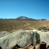 IMG_4833.jpg