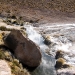 IMG_4837.jpg