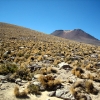 IMG_4841.jpg