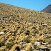 IMG_4842.jpg