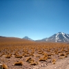 IMG_4892.jpg