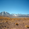 IMG_4893.jpg