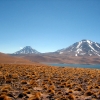 IMG_4894.jpg