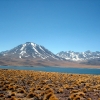 IMG_4895.jpg