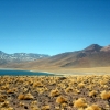 IMG_4897.jpg