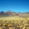 IMG_4898.jpg
