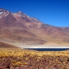 IMG_4908.jpg