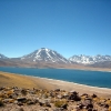 IMG_4910.jpg