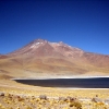 IMG_4917.jpg