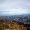IMG_5382.jpg