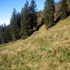 IMG_5506.JPG