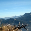IMG_5509.JPG