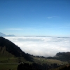 IMG_5515.JPG