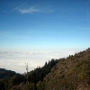 IMG_5517.JPG