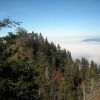 IMG_5524.JPG