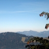 IMG_5525.JPG