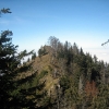 IMG_5526.JPG