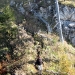 IMG_5530.JPG