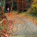 IMG_5568.JPG